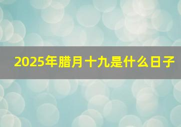 2025年腊月十九是什么日子