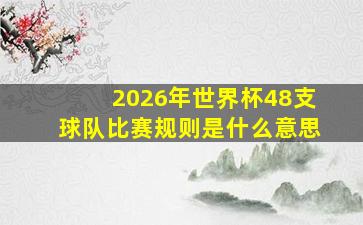 2026年世界杯48支球队比赛规则是什么意思