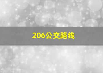 206公交路线