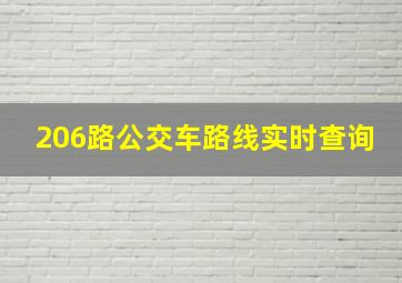 206路公交车路线实时查询