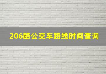 206路公交车路线时间查询