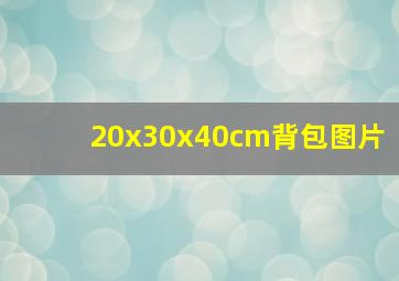 20x30x40cm背包图片