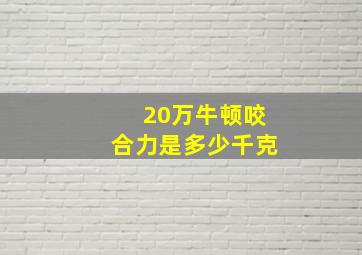 20万牛顿咬合力是多少千克