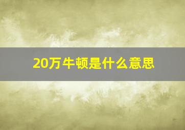 20万牛顿是什么意思