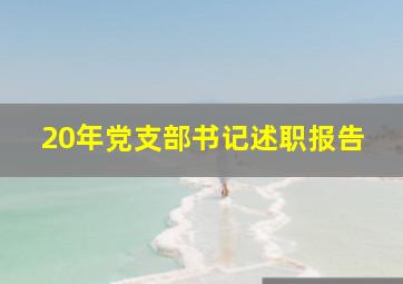 20年党支部书记述职报告