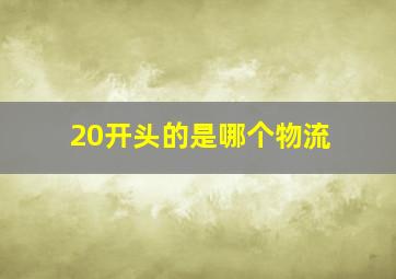 20开头的是哪个物流