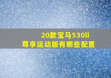 20款宝马530li尊享运动版有哪些配置