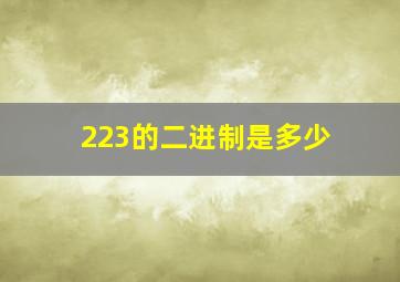 223的二进制是多少