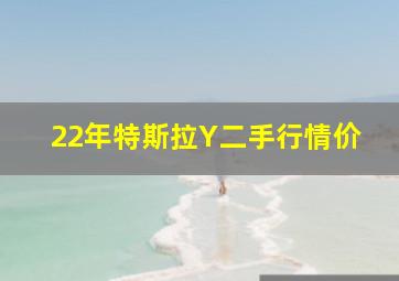 22年特斯拉Y二手行情价