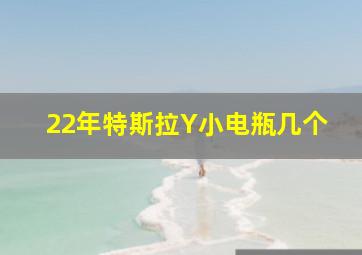 22年特斯拉Y小电瓶几个