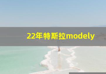 22年特斯拉modely