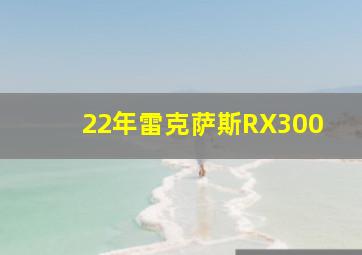 22年雷克萨斯RX300