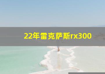 22年雷克萨斯rx300