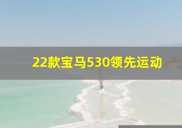 22款宝马530领先运动