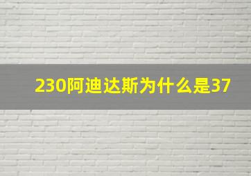 230阿迪达斯为什么是37