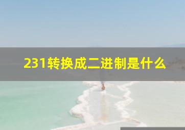 231转换成二进制是什么