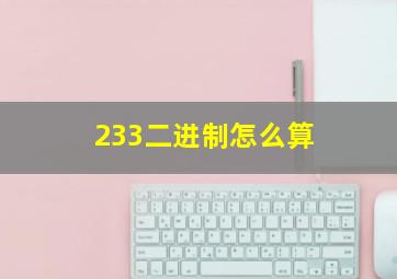 233二进制怎么算