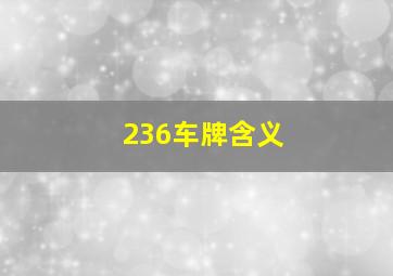 236车牌含义