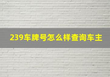 239车牌号怎么样查询车主