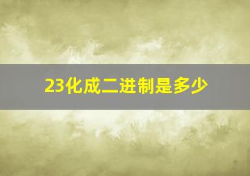 23化成二进制是多少