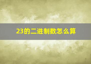 23的二进制数怎么算