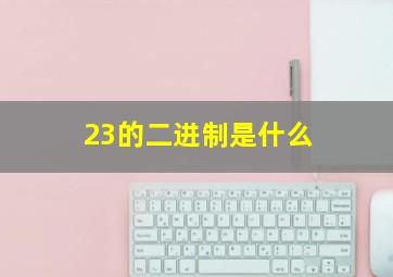 23的二进制是什么