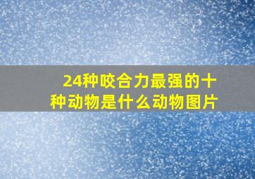 24种咬合力最强的十种动物是什么动物图片