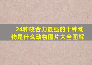 24种咬合力最强的十种动物是什么动物图片大全图解