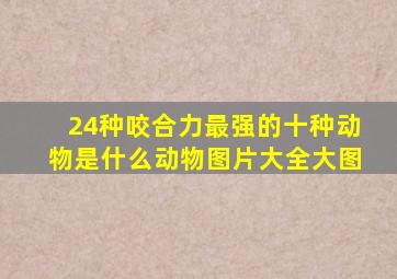 24种咬合力最强的十种动物是什么动物图片大全大图