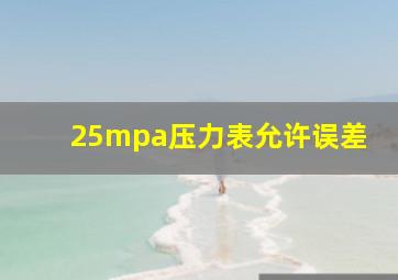 25mpa压力表允许误差