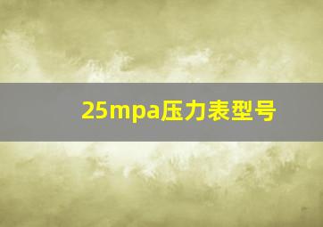 25mpa压力表型号