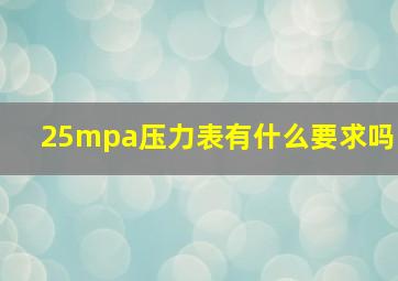 25mpa压力表有什么要求吗