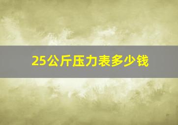 25公斤压力表多少钱