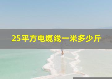 25平方电缆线一米多少斤