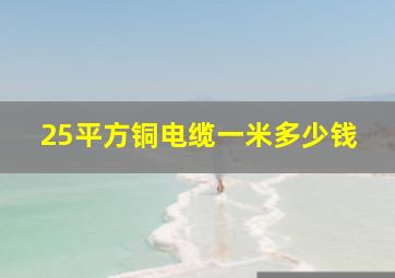 25平方铜电缆一米多少钱