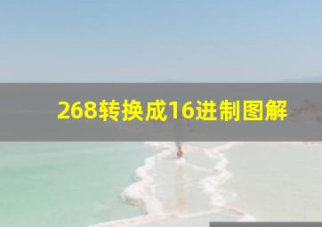 268转换成16进制图解