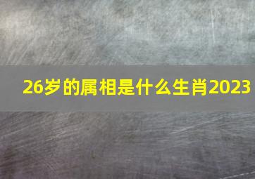 26岁的属相是什么生肖2023