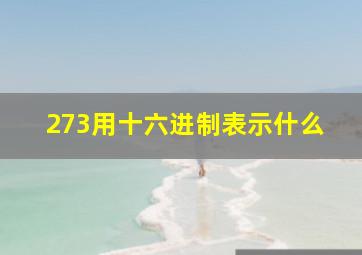 273用十六进制表示什么