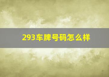 293车牌号码怎么样