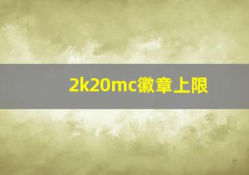 2k20mc徽章上限