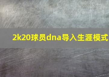 2k20球员dna导入生涯模式