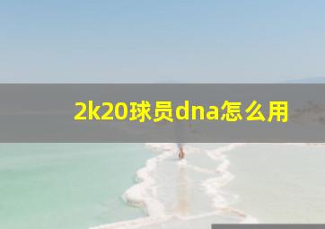 2k20球员dna怎么用