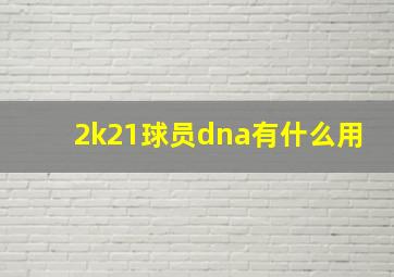 2k21球员dna有什么用