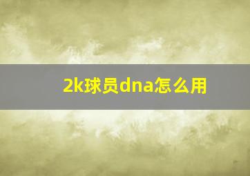 2k球员dna怎么用