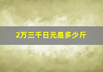 2万三千日元是多少斤