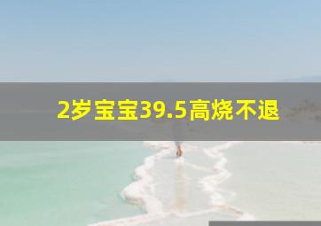 2岁宝宝39.5高烧不退