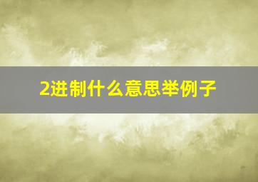 2进制什么意思举例子