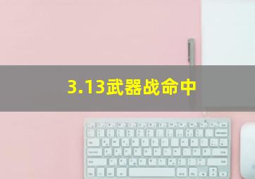 3.13武器战命中