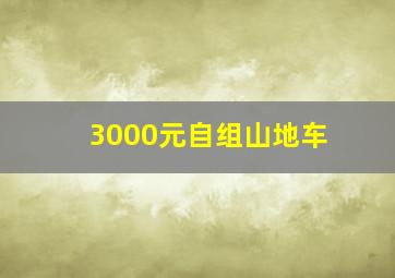 3000元自组山地车