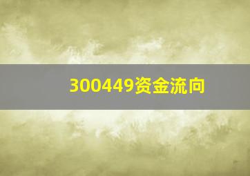 300449资金流向